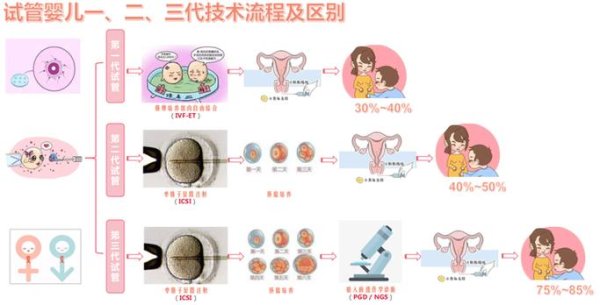 三代,试管婴儿,成功率,成长,过程