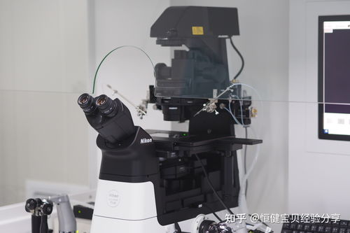 三代试管婴儿技术