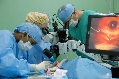 三代试管婴儿技术