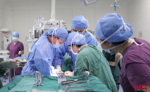 三代试管婴儿技术解读，美国试管婴儿最新资讯速递