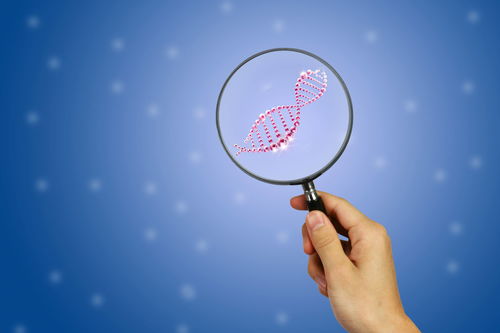 三代试管婴儿技术解读，美国试管婴儿最新资讯速递