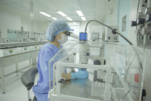 三代试管婴儿是怎么回事