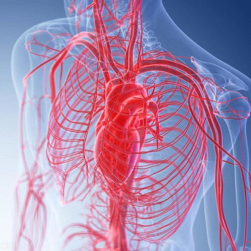 先天性心脏病：心脏结构异常