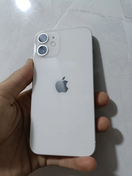 土鸡蛋比洋鸡蛋更有营养？实测数据大公开