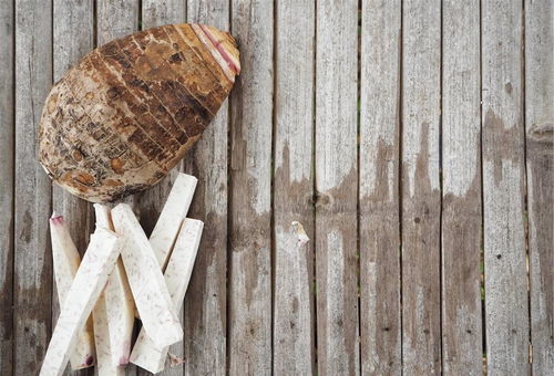 处暑防燥怎么吃