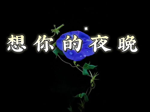 夜跑的最佳时间，不是你想的那么晚