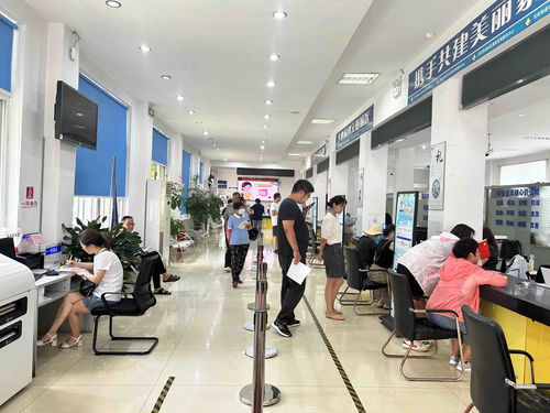 上海瑞金医院试管婴儿