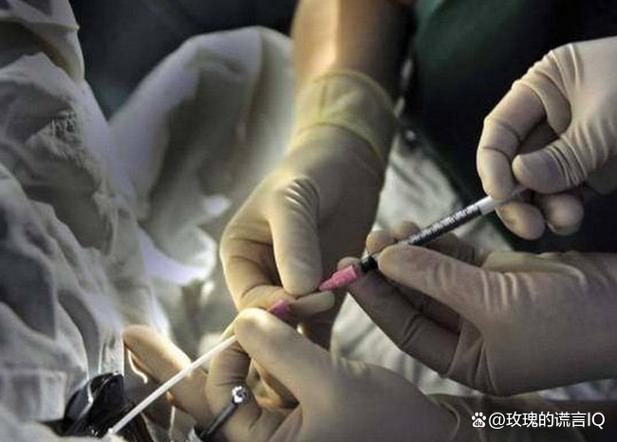 上海海外试管婴儿