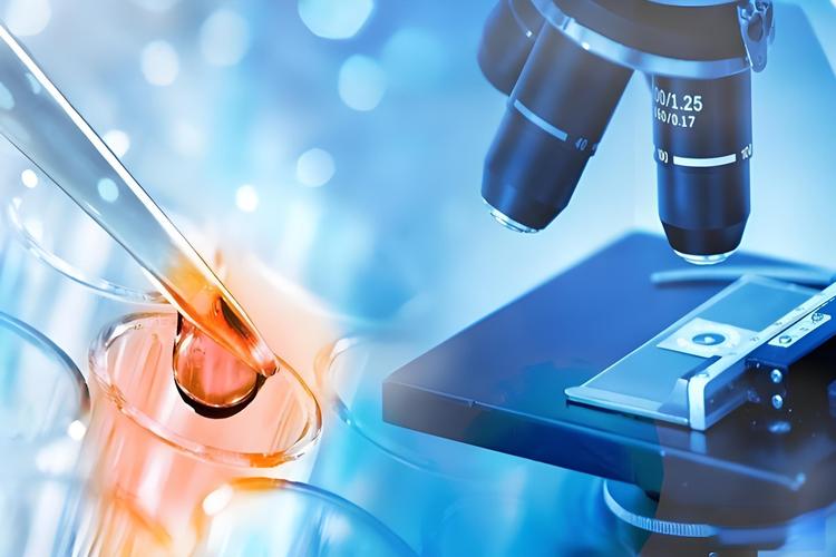 上海海外试管婴儿