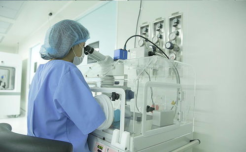 上海第三代试管婴儿医院