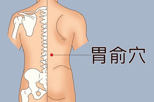三伏贴自己在家能贴吗？贴敷穴位禁忌要知道