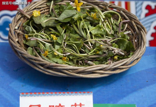 FODMAP饮食法：肠道敏感的人怎么吃？