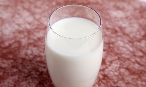 乳糖不耐受喝牛奶就拉，这种奶能救你