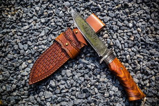 CIN2级必须手术吗LEEP刀还是冷刀锥切好