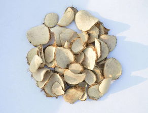 三棱破血，三棱丸