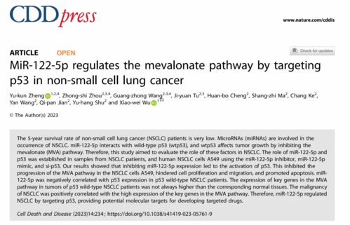 NK细胞高是不孕原因吗需要免疫抑制治疗吗