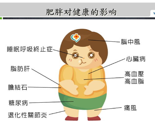 三高加肚子大，代谢综合征这样吃能救命