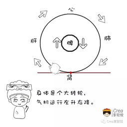 中气,下陷,脱肛,内脏,下垂