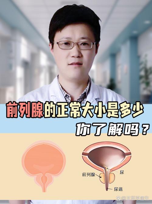 前列腺大小正常值是多少