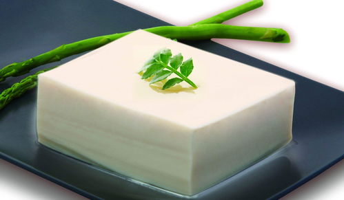 优质低蛋白:哪些食物是优质低蛋白? 优质低蛋白:哪些食物是优质低蛋白?