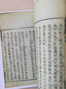 中医流派各千秋，伤寒河间易水丹