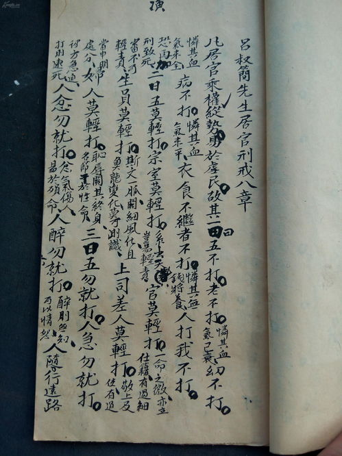 中医,术语,规矩,标本,缓急