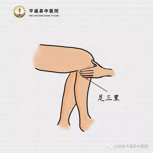 中气,下陷,脱肛,内脏,下垂