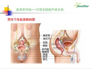 前列腺炎热疗有用吗