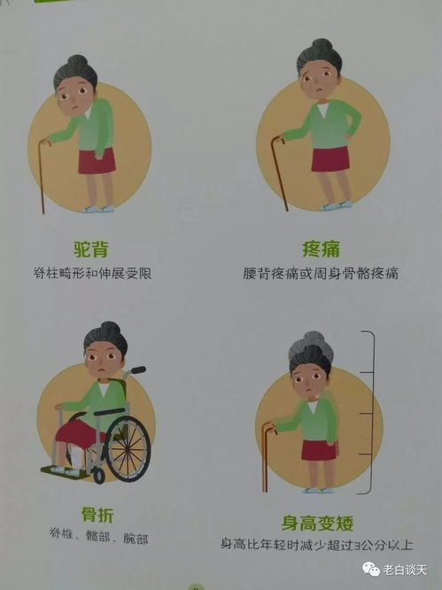 低血糖,比高,血糖,危险,袋里