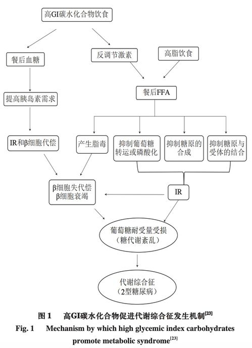 代谢综合征饮食：三高同时出现，该怎么吃？