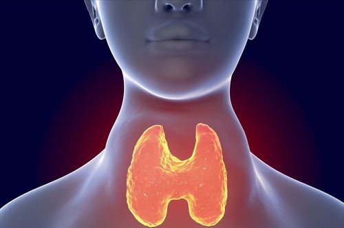 甲状腺髓样癌-甲状腺结节伴腹泻，降钙素明显升高