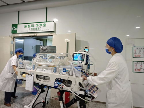 荆州,市中心,医院