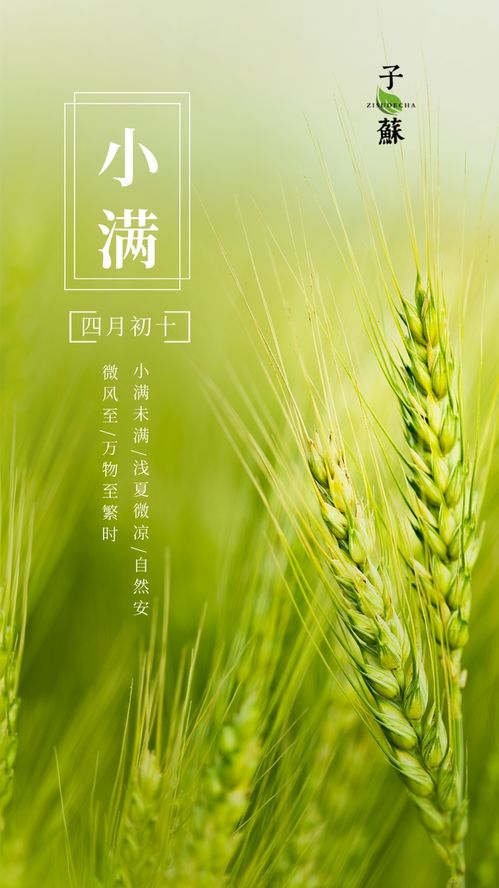 小满祛湿怎么吃