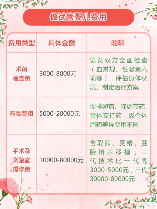 中介试管婴儿费用