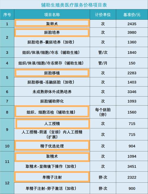 中介试管婴儿费用