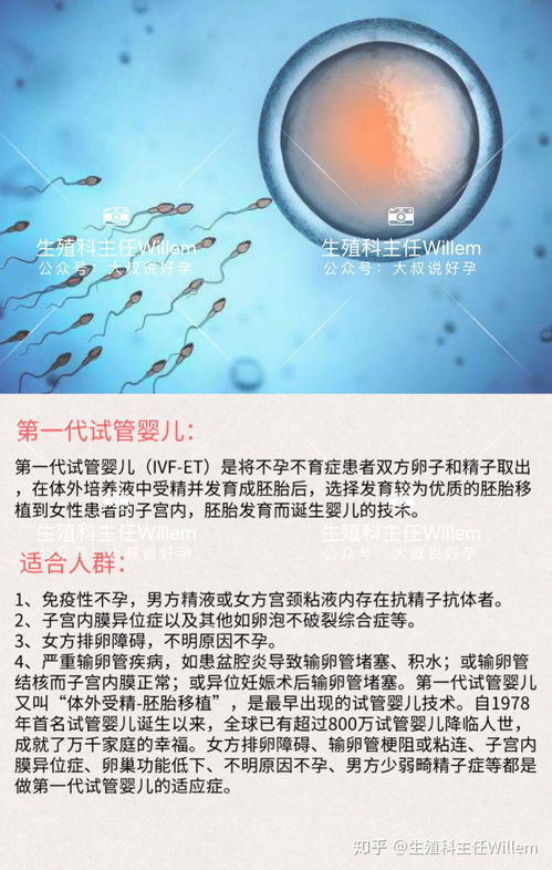 中国最好的试管婴儿