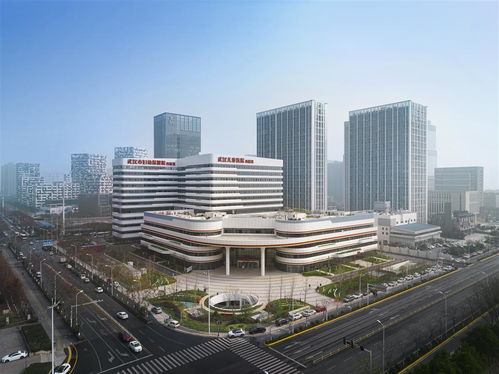 上海妇幼保健院官网预约：上海妇幼保健院与上海市第一妇婴保健院特色对比