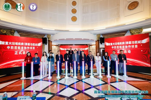 上海国际和平妇幼保健院官网：上海国际和平妇幼保健院与国妇婴医院特色对比