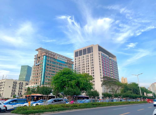 东莞市妇幼保健院产科服务：东莞市妇幼保健院与东莞市人民医院妇产科对比