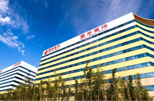 北京整形医院排名前十：北京整形医院与八大处、中日友好医院对比