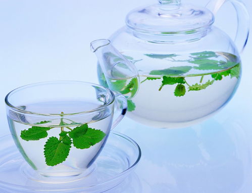 早上第一杯水怎么喝？淡盐水蜂蜜水还是白开水