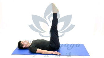 普拉提和瑜伽有什么区别？哪个更适合你