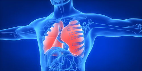 月经不调怎么调理？周期量色都要看