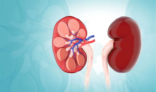 月经提前来是什么问题