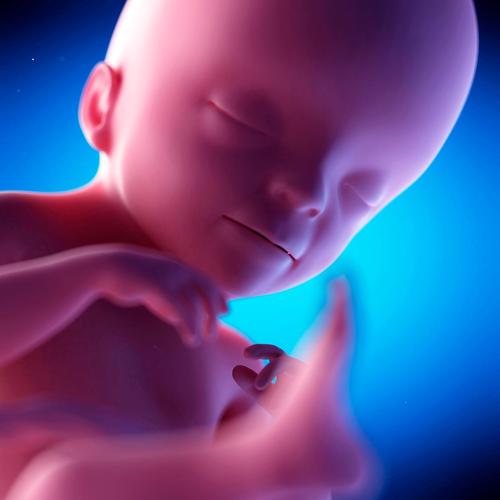 为什么试管婴儿