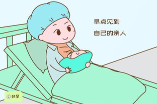 为何试管婴儿都不顺产