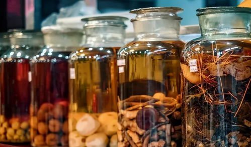 中药,炮制,为什么,重要,酒制