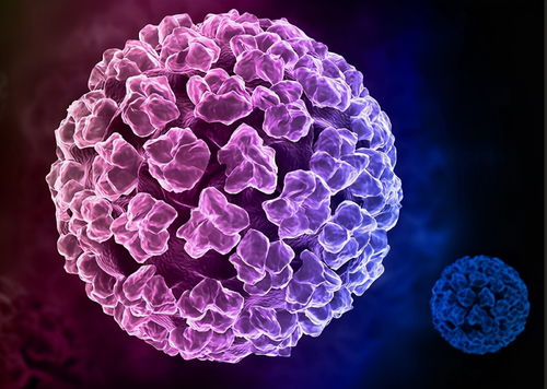 查出HPV阳性怎么办？会得宫颈癌吗