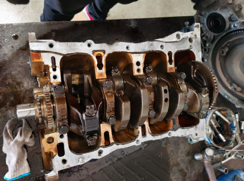 查出HPV阳性怎么办？会得宫颈癌吗