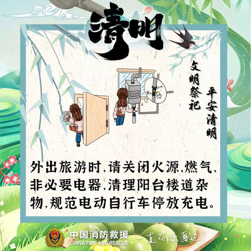 柳絮过敏怎么办